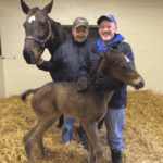 Race Horses, etc. - The Podcast