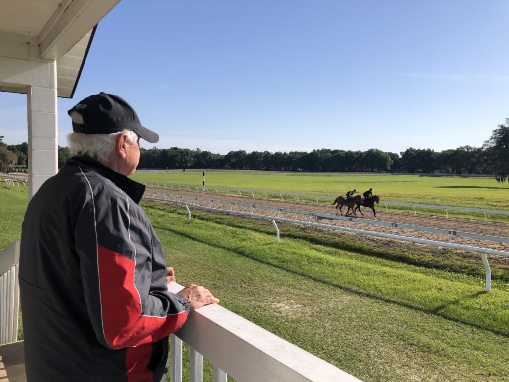 thoroughbred race horses