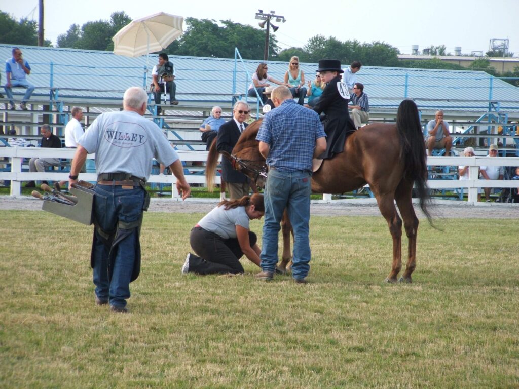 Beach Faulkner blacksmith at Bourbon County horse show