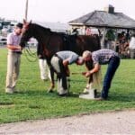 Race Horses, etc. - The Podcast