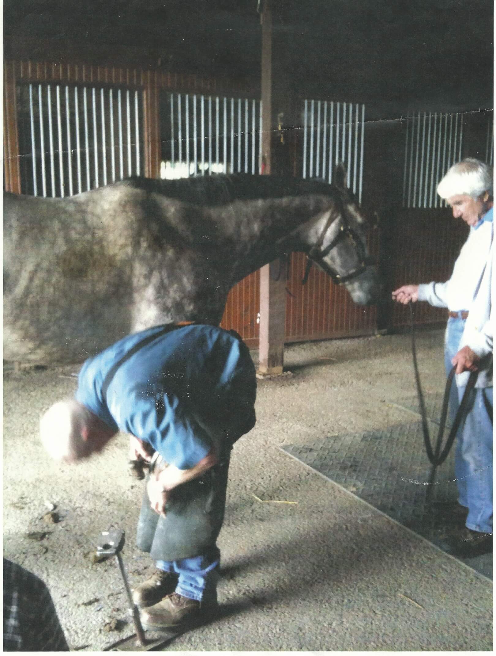 blacksmith for great Thoroughbred race horse stallions in Kentucky