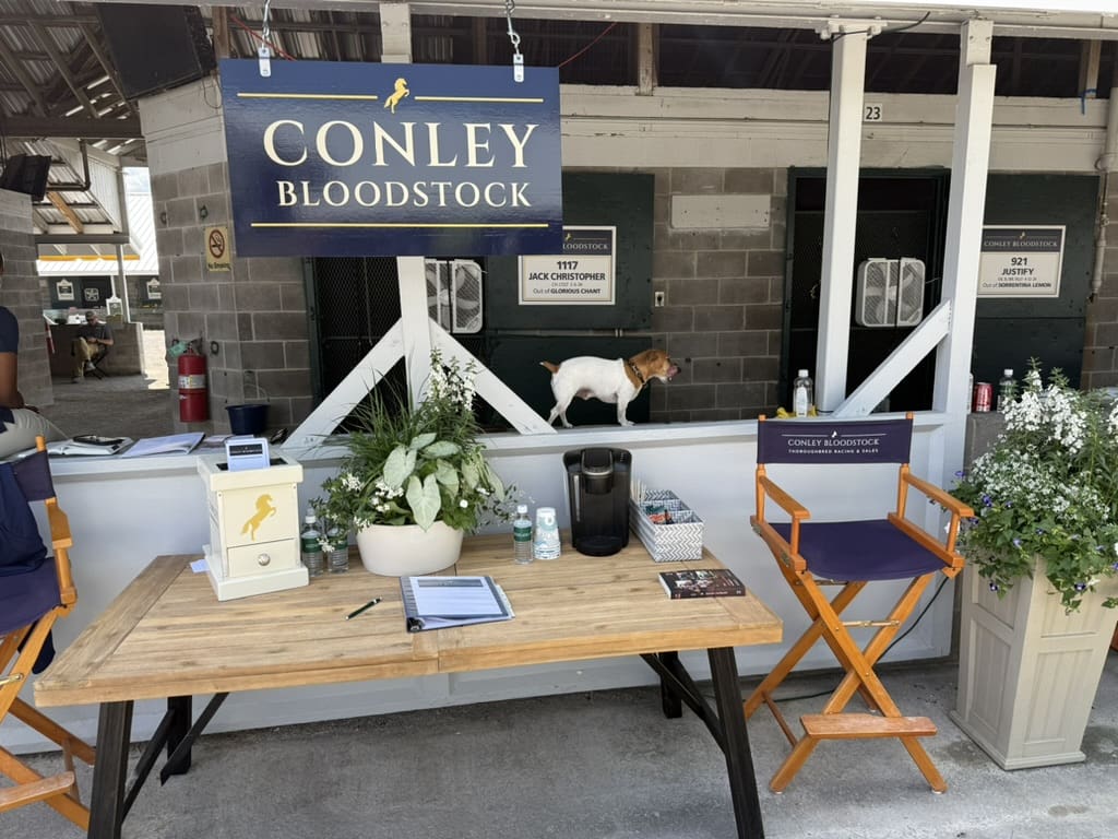 bloodstock consignment shed